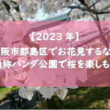 【2023年】大阪市都島区でお花見するなら通称パンダ公園で桜を楽しもう