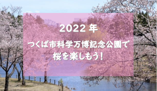 【2022年】茨城県つくば市でお花見するなら科学万博記念公園で桜を楽しもう