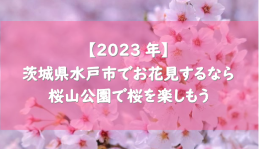 【2023年】茨城県水戸市でお花見するなら桜山公園で桜を楽しもう