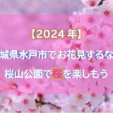 【2024年】茨城県水戸市でお花見するなら桜山公園で桜を楽しもう