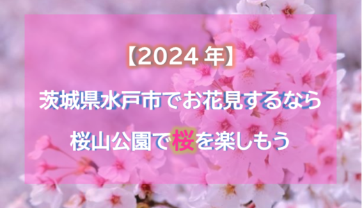 【2024年】茨城県水戸市でお花見するなら桜山公園で桜を楽しもう