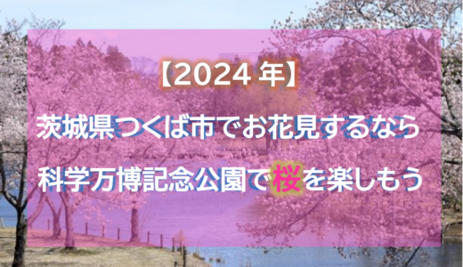 【2024年】茨城県つくば市でお花見するなら科学万博記念公園で桜を楽しもう