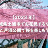 【2023年】茨城県土浦市でお花見するなら乙戸沼公園で桜を楽しもう