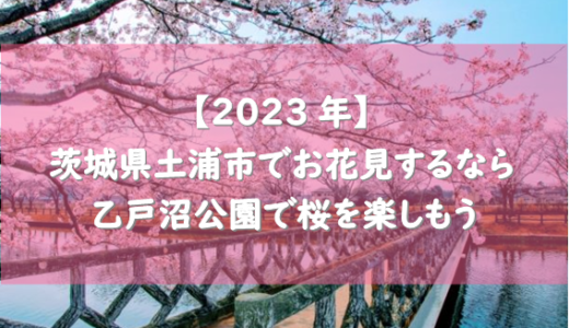 【2023年】茨城県土浦市でお花見するなら乙戸沼公園で桜を楽しもう