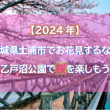 【2024年】茨城県土浦市でお花見するなら乙戸沼公園で桜を楽しもう
