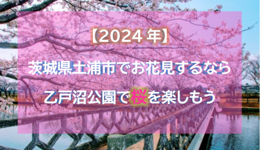 【2024年】茨城県土浦市でお花見するなら乙戸沼公園で桜を楽しもう