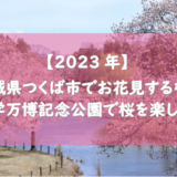【2023年】茨城県つくば市でお花見するなら科学万博記念公園で桜を楽しもう