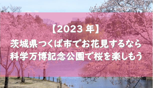 【2023年】茨城県つくば市でお花見するなら科学万博記念公園で桜を楽しもう