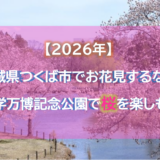 【2026年】茨城県つくば市でお花見するなら科学万博記念公園で桜を楽しもう
